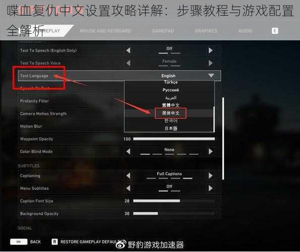 喋血复仇中文设置攻略详解：步骤教程与游戏配置全解析