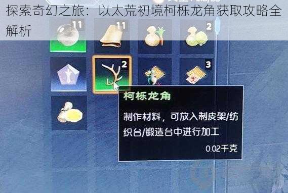 探索奇幻之旅：以太荒初境柯栎龙角获取攻略全解析