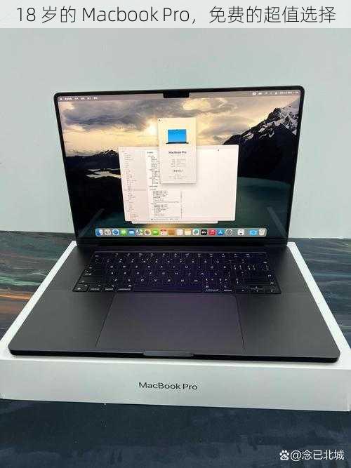 18 岁的 Macbook Pro，免费的超值选择