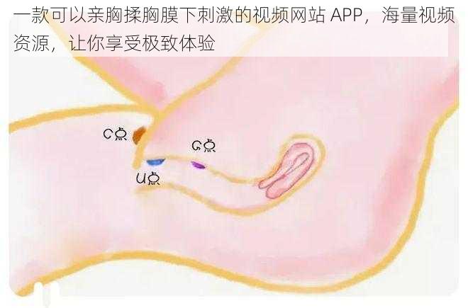 一款可以亲胸揉胸膜下刺激的视频网站 APP，海量视频资源，让你享受极致体验