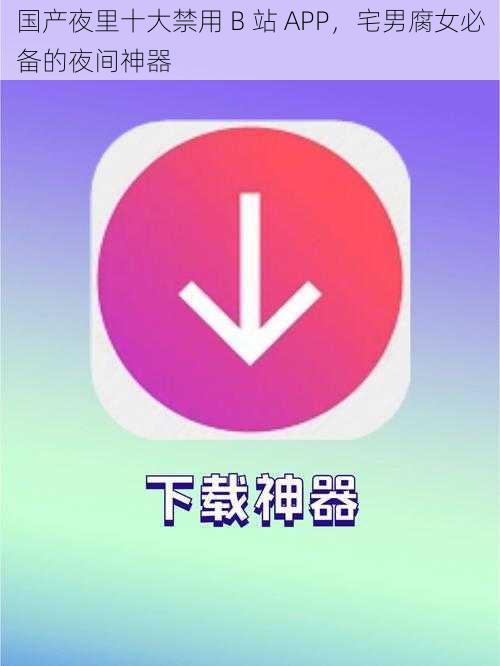 国产夜里十大禁用 B 站 APP，宅男腐女必备的夜间神器