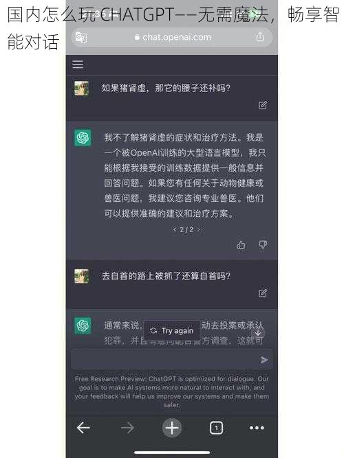 国内怎么玩 CHATGPT——无需魔法，畅享智能对话