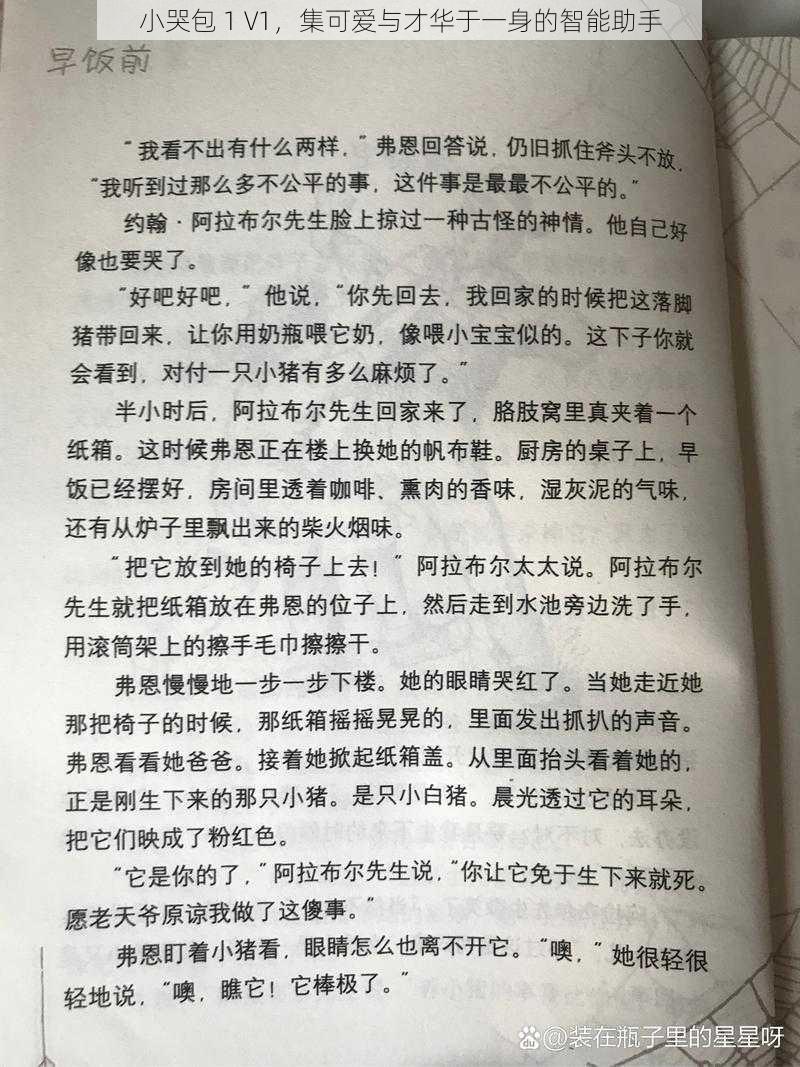 小哭包 1 V1，集可爱与才华于一身的智能助手