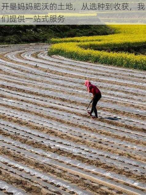 开垦妈妈肥沃的土地，从选种到收获，我们提供一站式服务