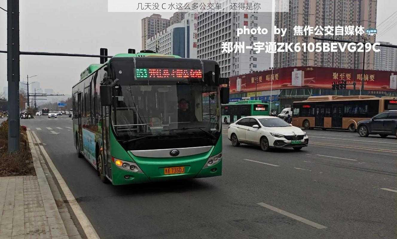 几天没 C 水这么多公交车，还得是你