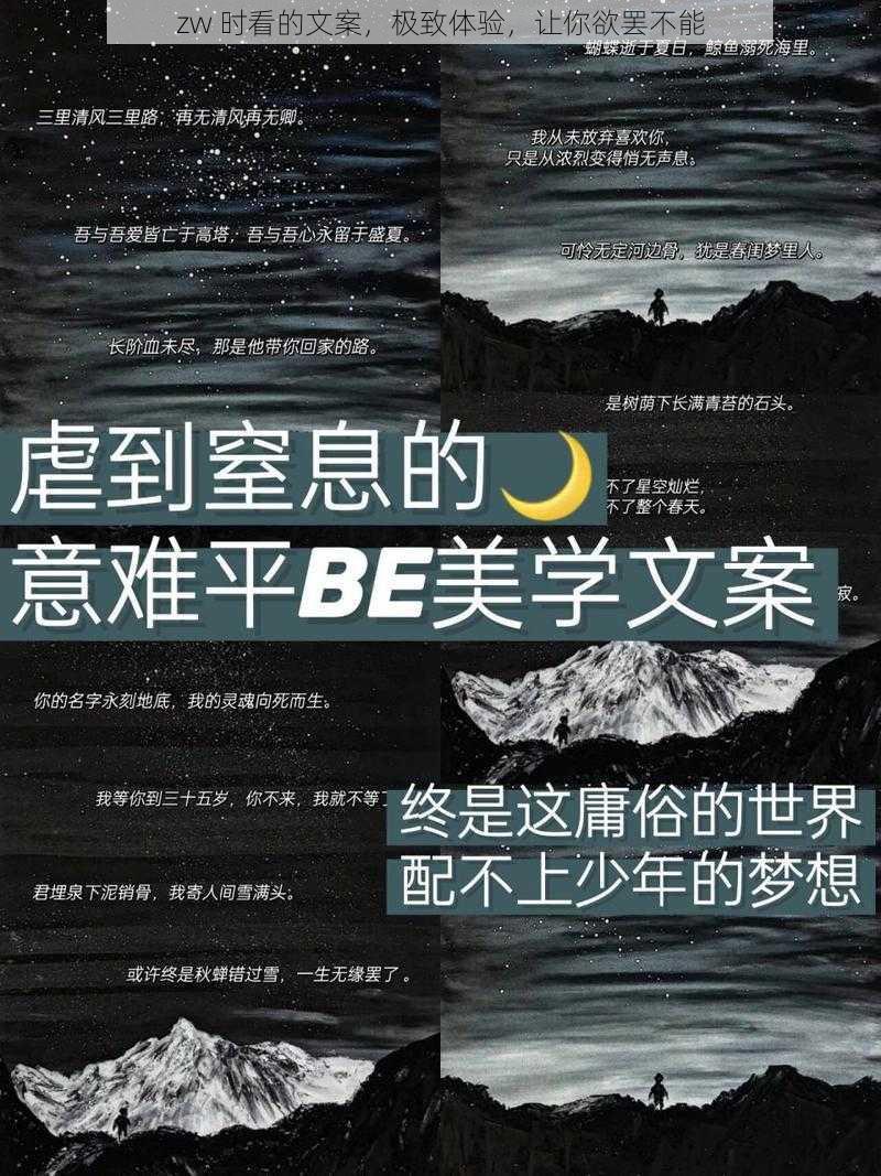 zw 时看的文案，极致体验，让你欲罢不能