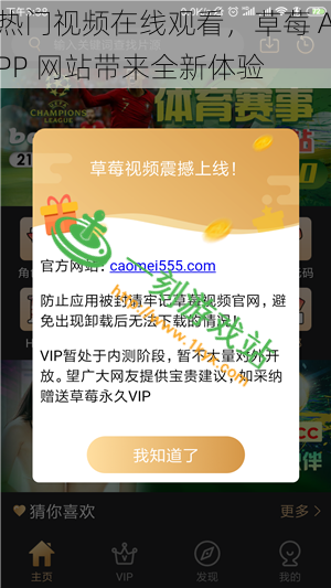 热门视频在线观看，草莓 APP 网站带来全新体验