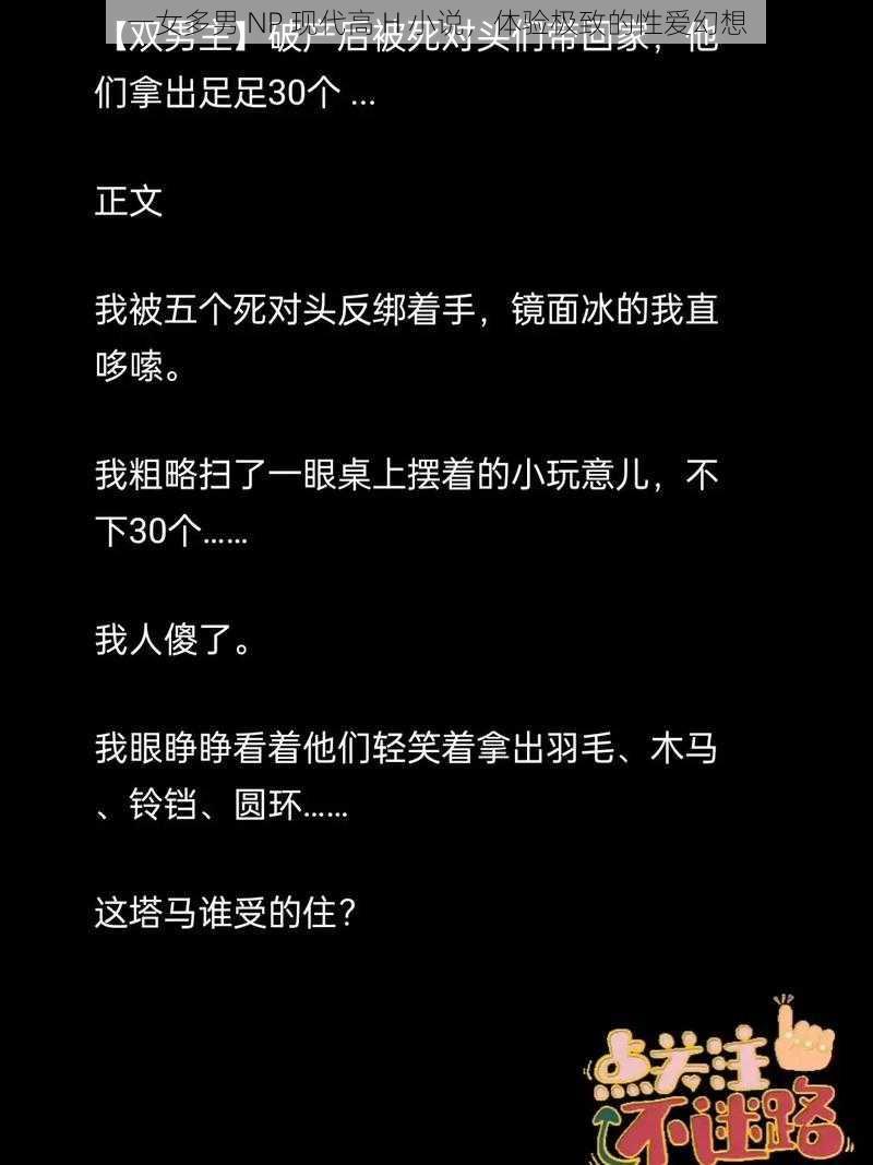 一女多男 NP 现代高 H 小说，体验极致的性爱幻想