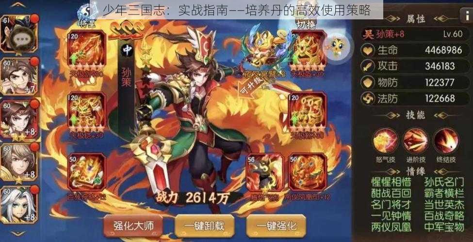 少年三国志：实战指南——培养丹的高效使用策略