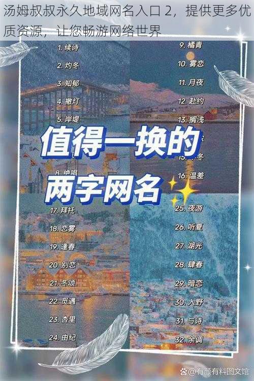 汤姆叔叔永久地域网名入口 2，提供更多优质资源，让您畅游网络世界