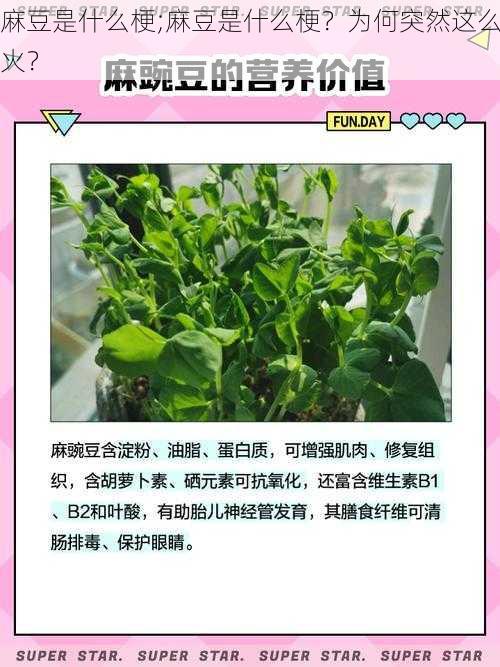 麻豆是什么梗;麻豆是什么梗？为何突然这么火？