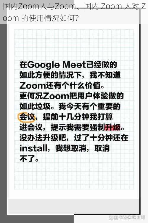 国内Zoom人与Zoom、国内 Zoom 人对 Zoom 的使用情况如何？