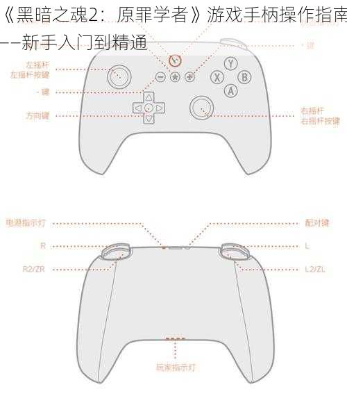 《黑暗之魂2：原罪学者》游戏手柄操作指南——新手入门到精通