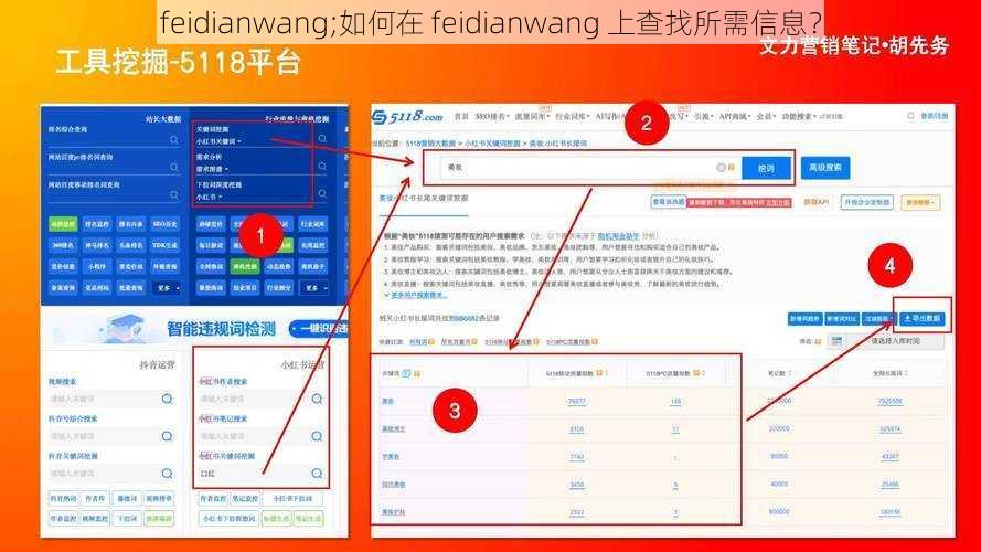 feidianwang;如何在 feidianwang 上查找所需信息？