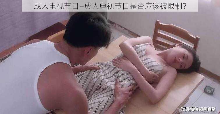 成人电视节目—成人电视节目是否应该被限制？