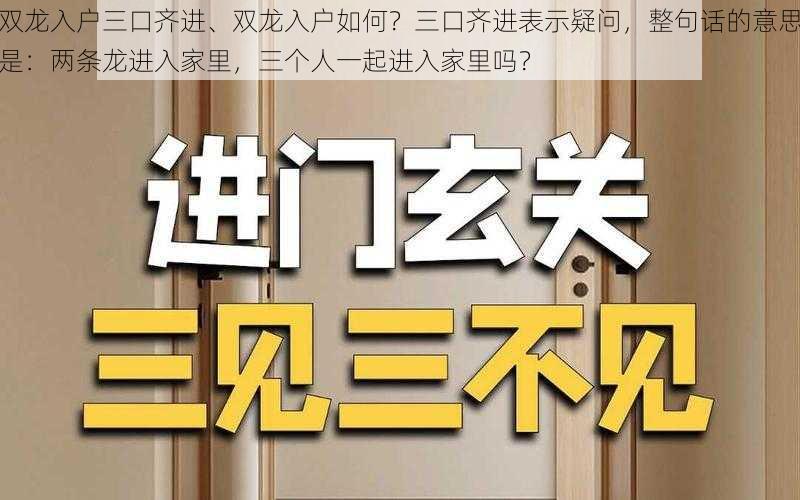 双龙入户三口齐进、双龙入户如何？三口齐进表示疑问，整句话的意思是：两条龙进入家里，三个人一起进入家里吗？