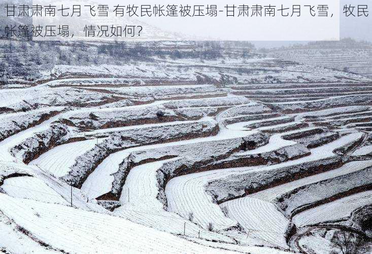 甘肃肃南七月飞雪 有牧民帐篷被压塌-甘肃肃南七月飞雪，牧民帐篷被压塌，情况如何？