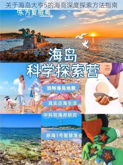 关于海岛大亨5的海岛深度探索方法指南