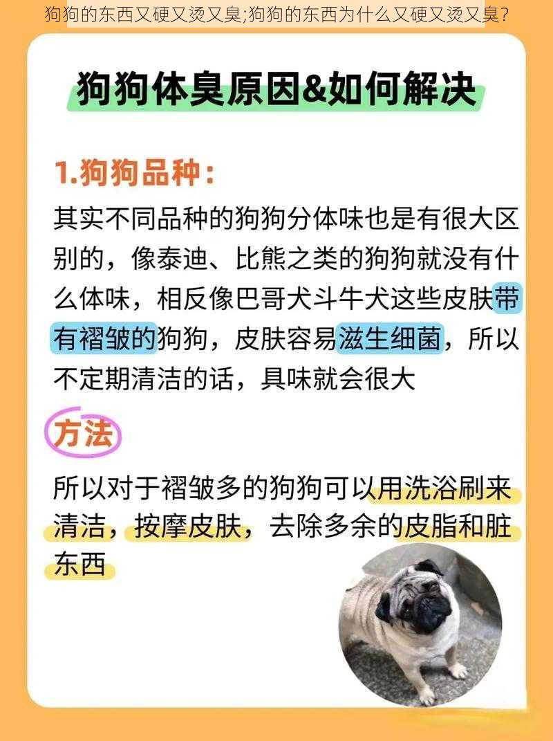 狗狗的东西又硬又烫又臭;狗狗的东西为什么又硬又烫又臭？