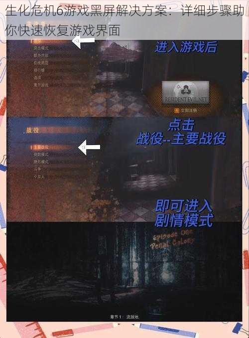 生化危机6游戏黑屏解决方案：详细步骤助你快速恢复游戏界面