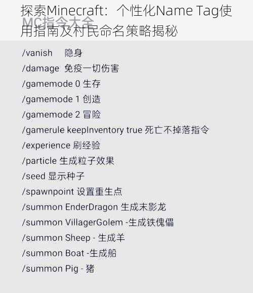 探索Minecraft：个性化Name Tag使用指南及村民命名策略揭秘