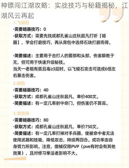 神镖闯江湖攻略：实战技巧与秘籍揭秘，江湖风云再起