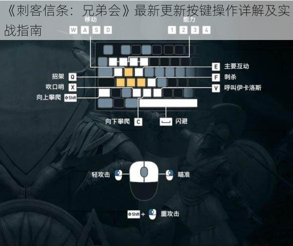 《刺客信条：兄弟会》最新更新按键操作详解及实战指南