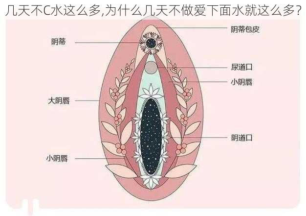 几天不C水这么多,为什么几天不做爱下面水就这么多？