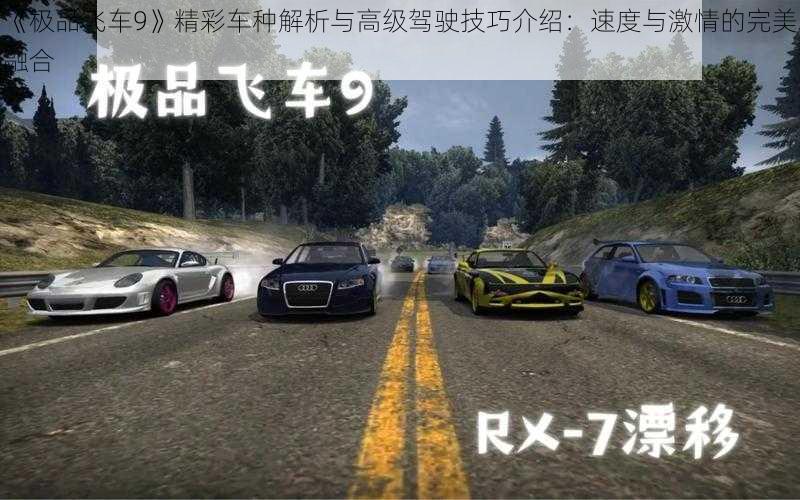 《极品飞车9》精彩车种解析与高级驾驶技巧介绍：速度与激情的完美融合