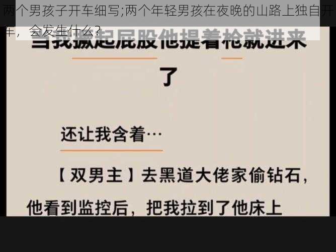 两个男孩子开车细写;两个年轻男孩在夜晚的山路上独自开车，会发生什么？