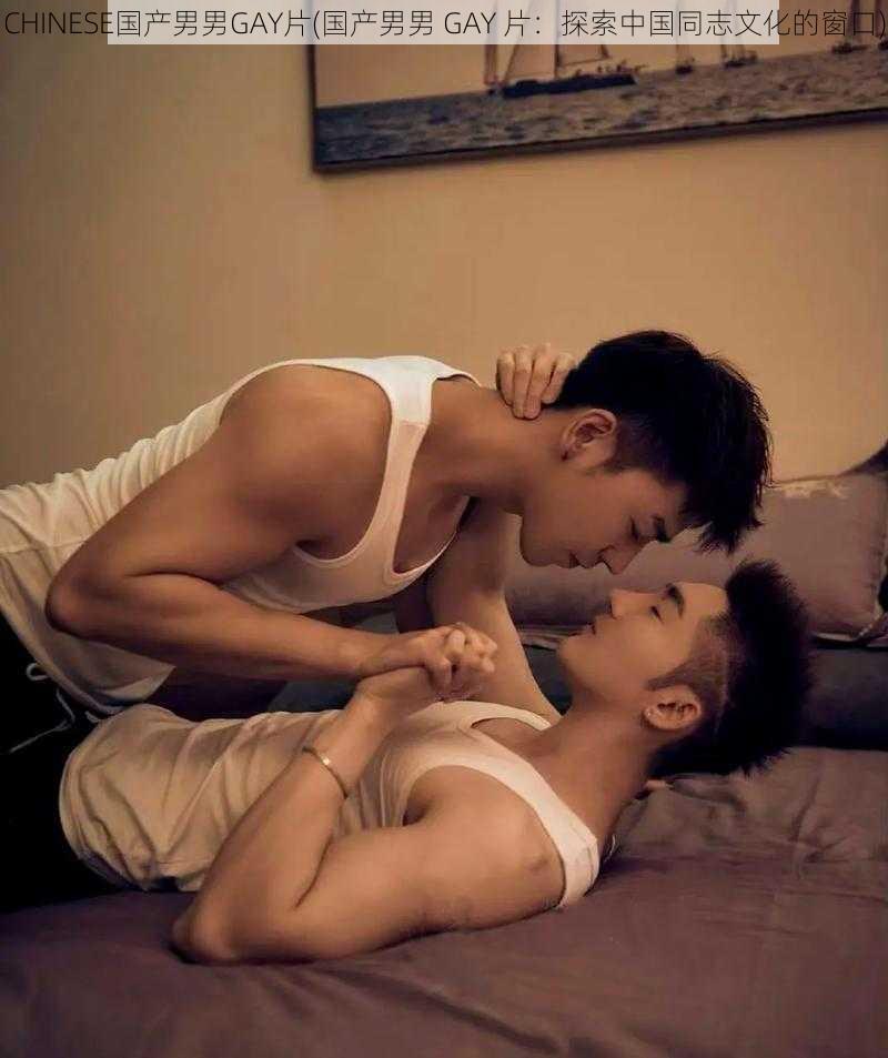 CHINESE国产男男GAY片(国产男男 GAY 片：探索中国同志文化的窗口)