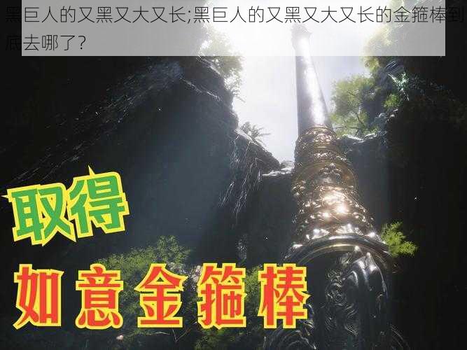 黑巨人的又黑又大又长;黑巨人的又黑又大又长的金箍棒到底去哪了？