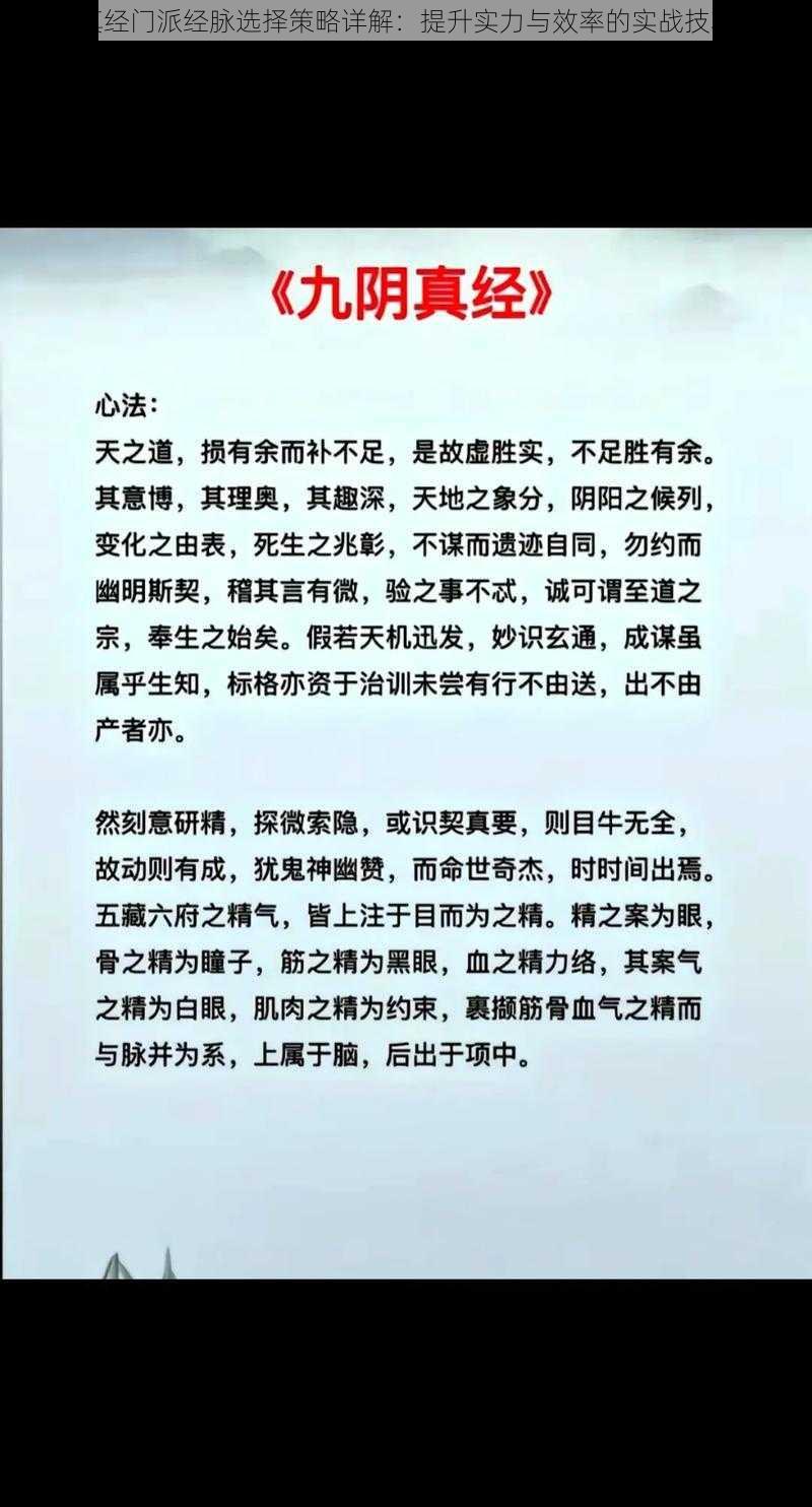 九阴真经门派经脉选择策略详解：提升实力与效率的实战技巧探讨