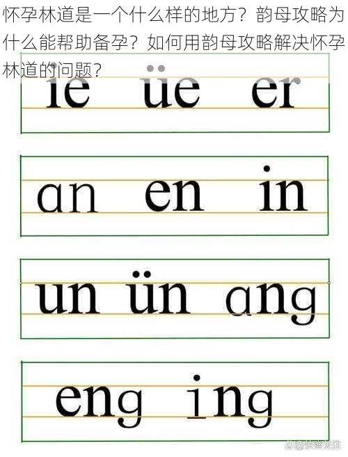 怀孕林道是一个什么样的地方？韵母攻略为什么能帮助备孕？如何用韵母攻略解决怀孕林道的问题？