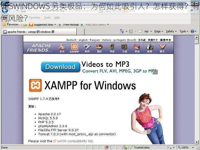 VPSWINDOWS 另类极品：为何如此吸引人？怎样获得？有何风险？