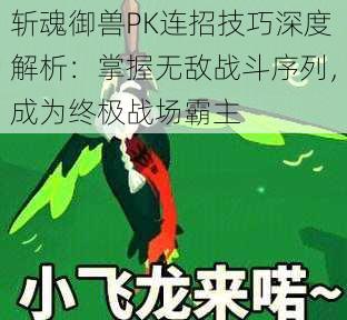 斩魂御兽PK连招技巧深度解析：掌握无敌战斗序列，成为终极战场霸主