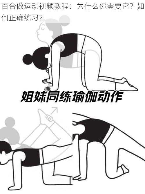 百合做运动视频教程：为什么你需要它？如何正确练习？