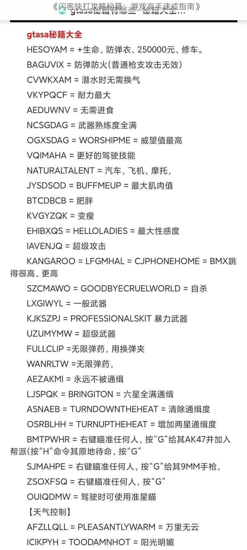 《闪客快打攻略秘籍：游戏高手速成指南》