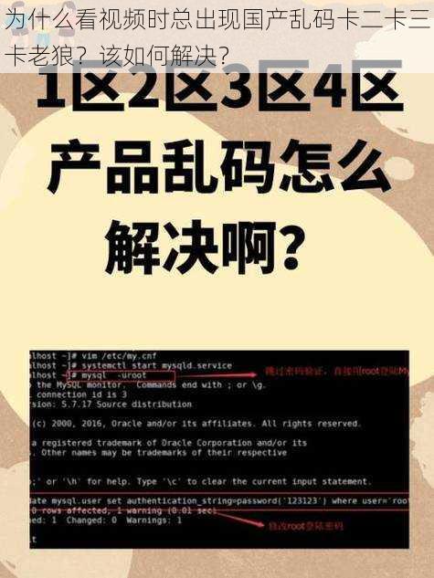 为什么看视频时总出现国产乱码卡二卡三卡老狼？该如何解决？