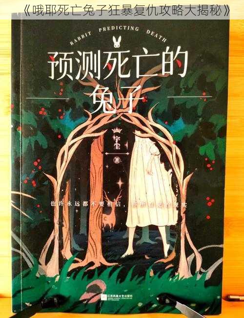 《哦耶死亡兔子狂暴复仇攻略大揭秘》