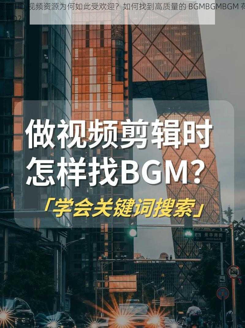 荷兰 HD 视频资源为何如此受欢迎？如何找到高质量的 BGMBGMBGM 荷兰 HD？