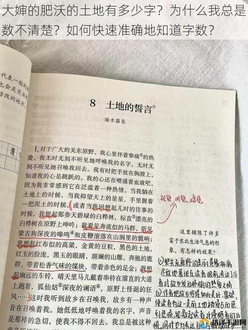 大婶的肥沃的土地有多少字？为什么我总是数不清楚？如何快速准确地知道字数？