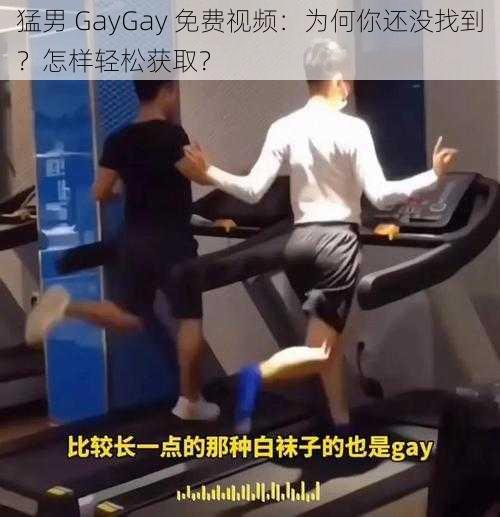 猛男 GayGay 免费视频：为何你还没找到？怎样轻松获取？