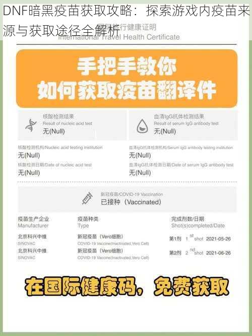 DNF暗黑疫苗获取攻略：探索游戏内疫苗来源与获取途径全解析