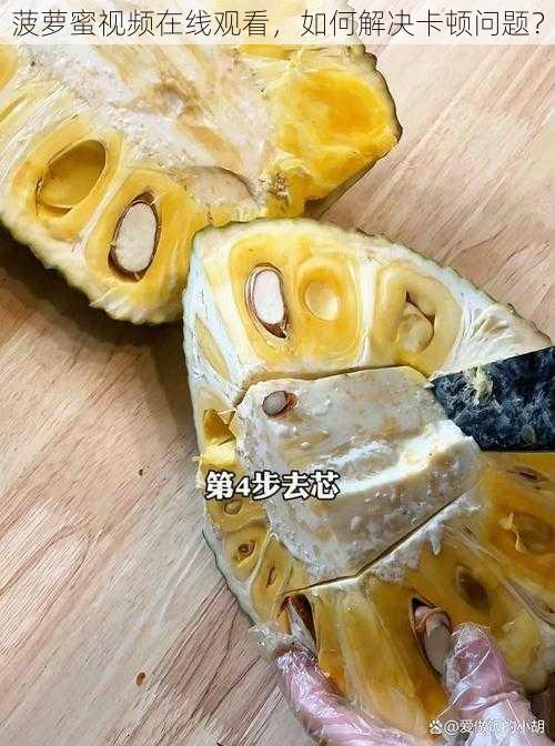 菠萝蜜视频在线观看，如何解决卡顿问题？