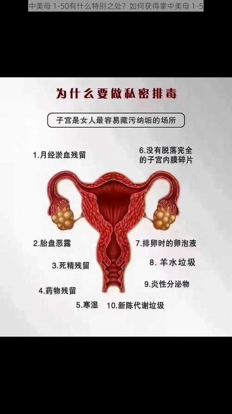 掌中美母 1-50有什么特别之处？如何获得掌中美母 1-50？