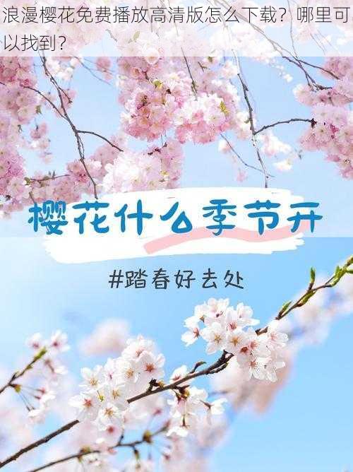 浪漫樱花免费播放高清版怎么下载？哪里可以找到？