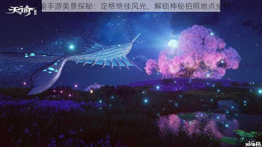 天谕手游美景探秘：定格绝佳风光，解锁神秘拍照地点坐标