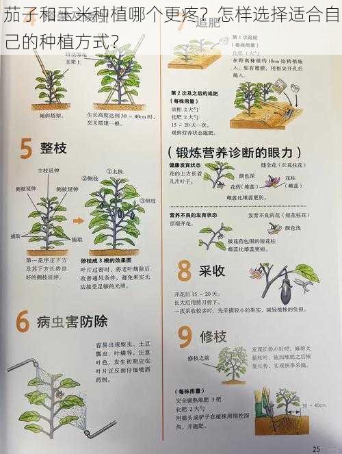 茄子和玉米种植哪个更疼？怎样选择适合自己的种植方式？