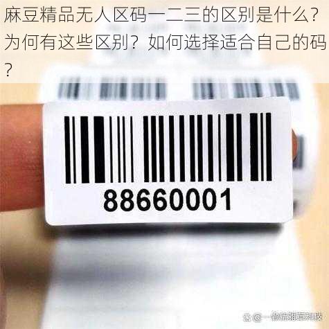 麻豆精品无人区码一二三的区别是什么？为何有这些区别？如何选择适合自己的码？